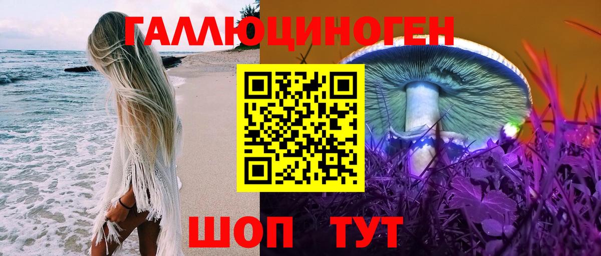 Псилоцибиновые грибы GOLDEN TEACHER Янаул