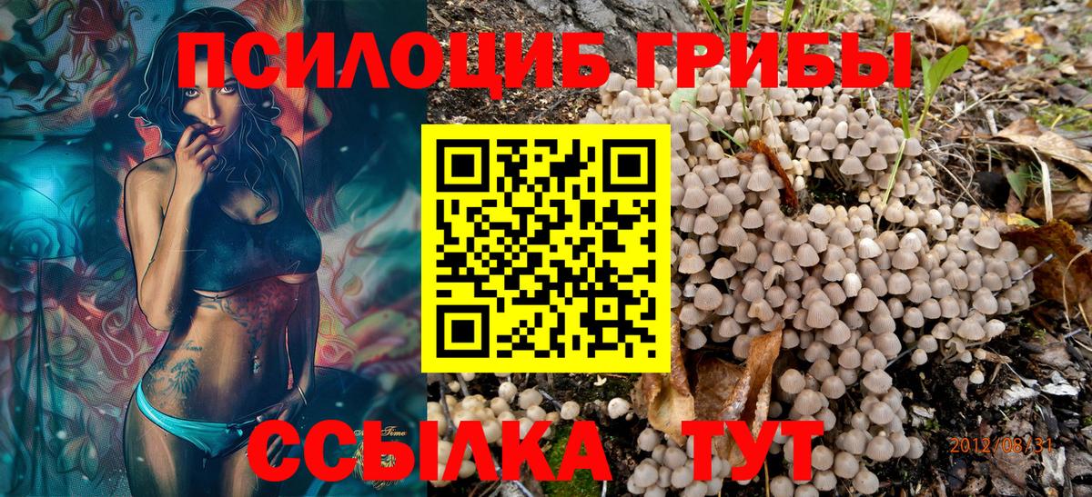 Псилоцибиновые грибы GOLDEN TEACHER  Вход с VPN  Янаул 